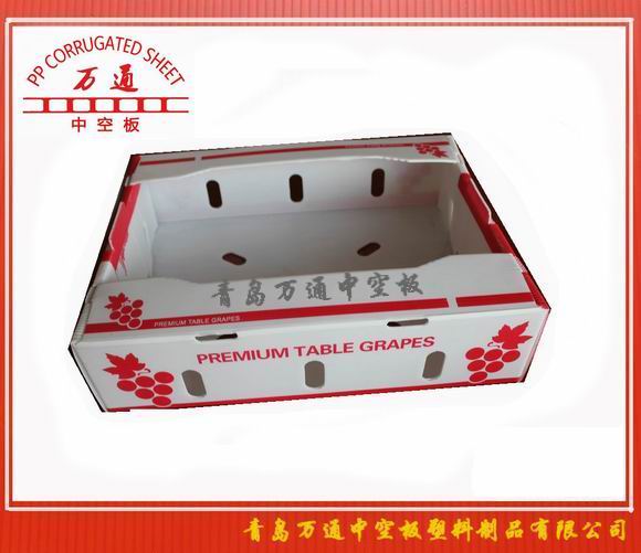<strong>中空板葡萄包装箱</strong>